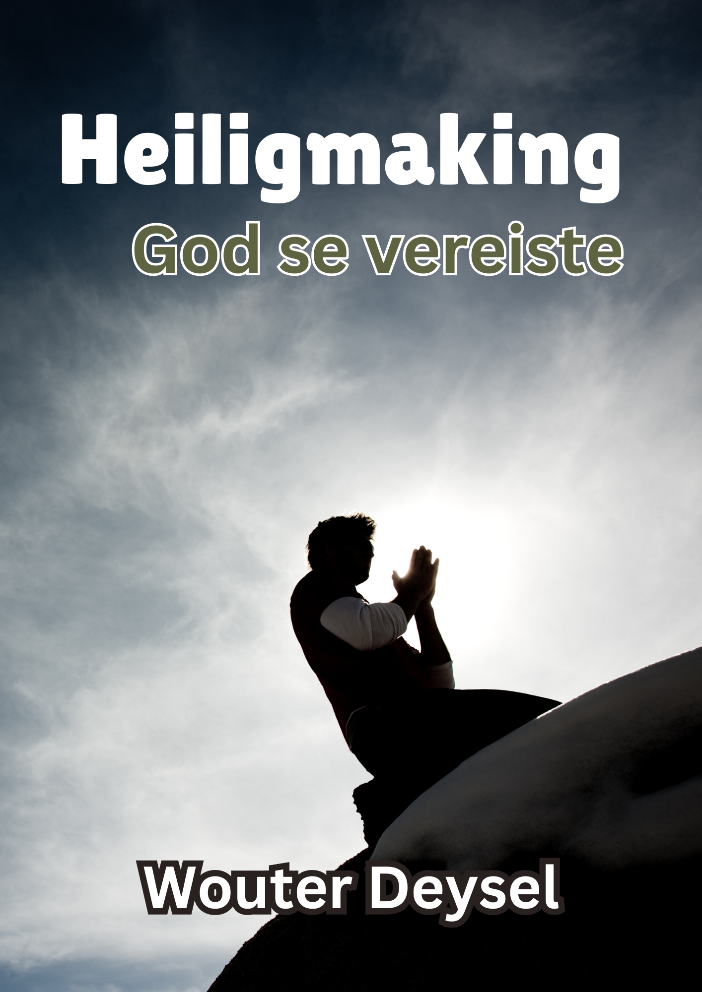 1.Wouter Book 3 Website
